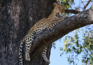 image-number-7338-1030x725